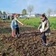 Samenmischung „Fettwiese“ und „Blumenwiese“ werden von SchülerInnen  ausgebracht